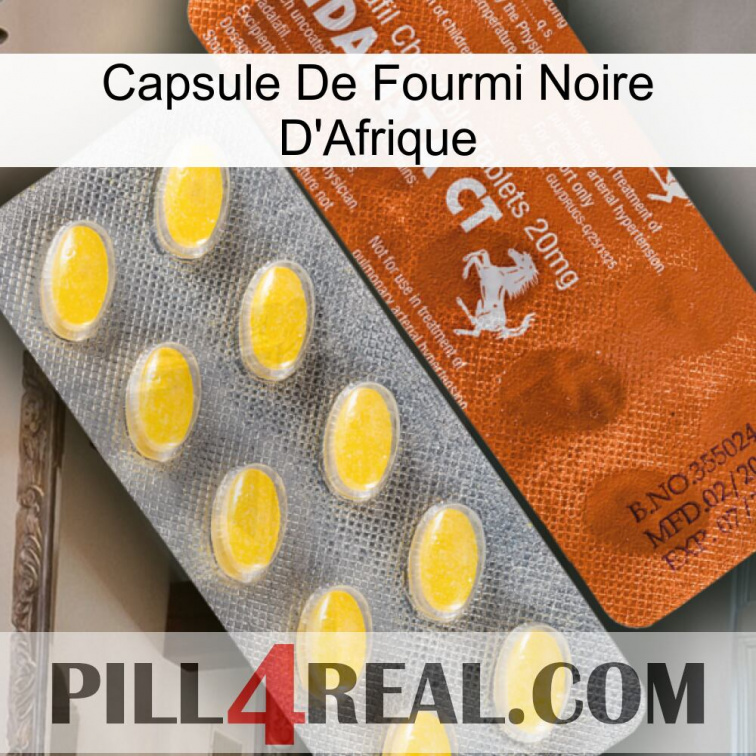 Africa Black Ant Capsule 42